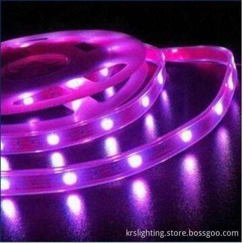 Super bright 3528 120pcs/m IP68 New Hot Sale light strip